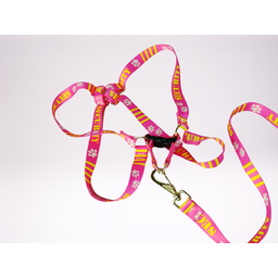Conjunto Peitoral Ajustável RBPet com Guia - Cães de Grande Porte - 4