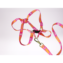 Ver imagem 3 de Conjunto Peitoral Ajustável RBPet com Guia - Cães de Grande Porte