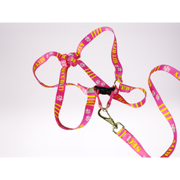 Conjunto Peitoral Ajustável RBPet com Guia - Cães de Grande Porte - 3