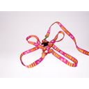 Ver imagem 5 de Conjunto Peitoral Ajustável RBPet com Guia - Cães de Grande Porte