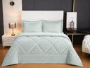 Ver imagem 1 de Coberdrom de Plush Antialérgico 100% Poliéster Queen 240x260cm - Verde Alecrim