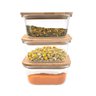Kit 3 Potes de Vidro 380ml com Tampa de Bambu Hermético Marmita Quadrados - Tud - 1