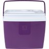 Caixa Termica Cooler com Alça 19 L Bel - Cor Açai - 3
