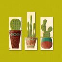 Ver imagem 1 de Tipos de Cactos - Quadros Modulares ou Placas Modulares Decorativas com 6 Peças