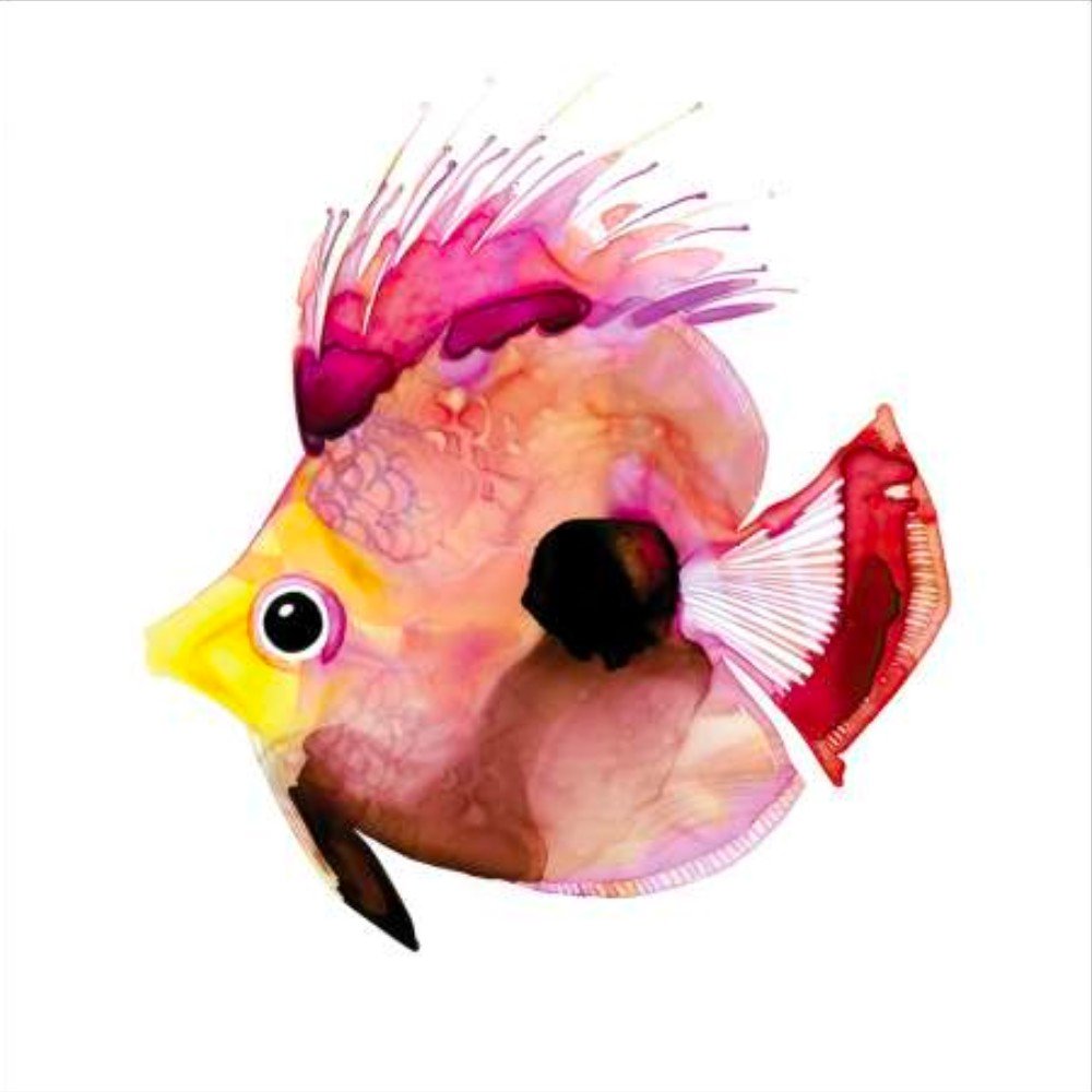 Pink Fish Canaleta 80x80cm Preta