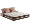 Ver imagem 3 de Cama Baú Viúva + Colchão de Molas Superlastic Classic Viúva - 128x188:marrom