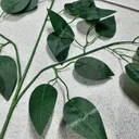 Ver imagem 3 de Folha De Ficus Artificial Kit 12 Galhos 60x50cm Rede Móveis