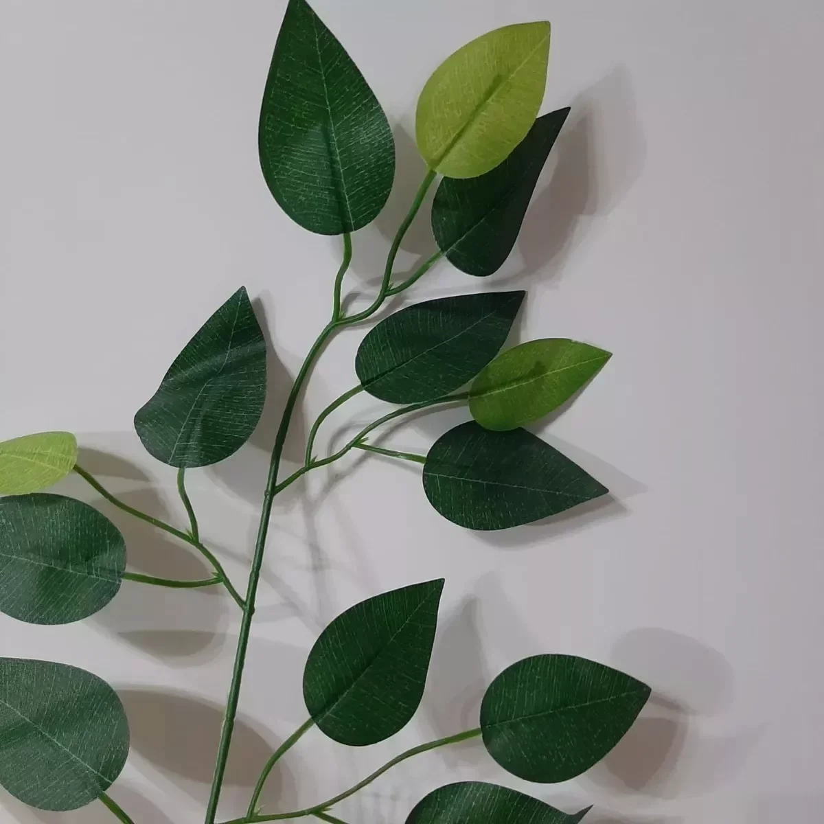 Ver imagem 2 de Folha De Ficus Artificial Kit 12 Galhos 60x50cm Rede Móveis