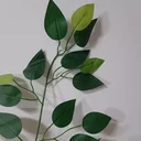 Ver imagem 2 de Folha De Ficus Artificial Kit 12 Galhos 60x50cm Rede Móveis