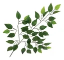 Ver imagem 1 de Folha De Ficus Artificial Kit 12 Galhos 60x50cm Rede Móveis