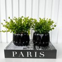 Ver imagem 3 de Decoração Sala Livro Porta Objetos e Dupla Vaso Preto 3d