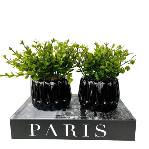 Decoração Sala Livro Porta Objetos e Dupla Vaso Preto 3d