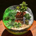 Ver imagem 2 de Vaso Tipo Aquário Redondo Vidro 9l Arranjos Ornamentais