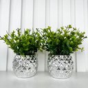 Ver imagem 4 de Dupla Vaso Cachepot Prata em Alto Relevo 3d Decoração Casa