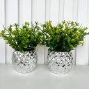 Ver imagem 3 de Dupla Vaso Cachepot Prata em Alto Relevo 3d Decoração Casa