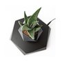 Vaso de Planta Magnetico Flutuante Levitaçao Gravidade Zero Base Hexagonal Flor Suculenta Decoraçao  - 5