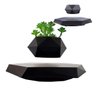 Vaso de Planta Magnetico Flutuante Levitaçao Gravidade Zero Base Hexagonal Flor Suculenta Decoraçao  - 1