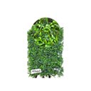 Ver imagem 1 de Kit com 10 Quadro Verde Mix Folhagem com 40x60