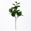 Ver imagem 4 de Peperômia Artificial 65cm Kit 5 Galhos Realistas para Vasos e Decoração