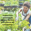 Ver imagem 7 de Estaca 99 cm para Jardinagem de Aco Ca-50 Galvanizado de 6mm com 04 Unidades