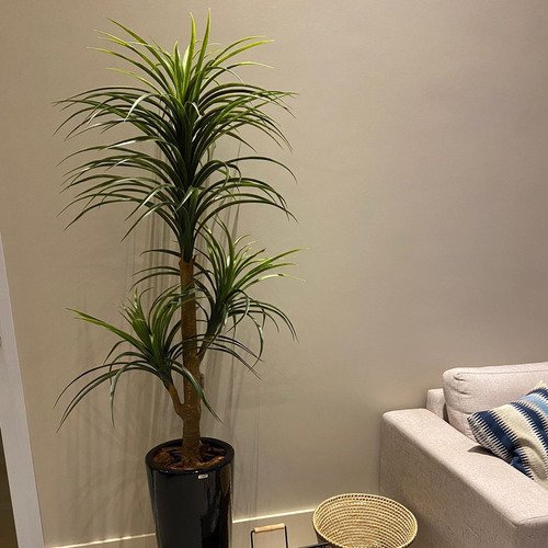 Árvore Artificial Yucca 150cm Planta Permanente Gesso (yuka) - 2