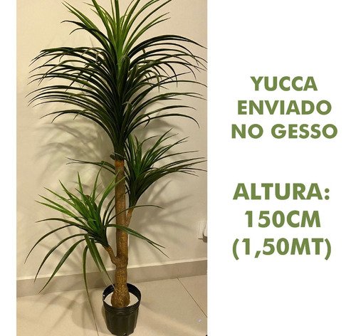 Árvore Artificial Yucca 150cm Planta Permanente Gesso (yuka) - 3