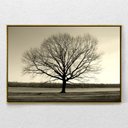 Ver imagem 1 de Quadro Decorativo Arvore Galhos Secos Com Moldura e Sem Vidro 100X160