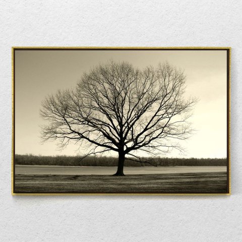 Quadro Decorativo Arvore Galhos Secos Com Moldura e Sem Vidro 100X160