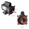 Motor Eletrico Weg para Bomba Piscina 1/4 Cv Dancor 110v/220v - 11