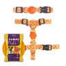 Conjunto Coleira + Peitoral Laranja Gota - Prediletta - M - 1