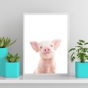 Ver imagem 2 de Quadro Porquinho Baby Sorrindo 24x18cm:Madeira preta