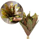 Ver imagem 1 de Kit 2 Pçs Bromélia Plantas Artificiais Verde 34cm 20 Folhas