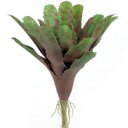 Ver imagem 4 de Kit 2 Pçs Bromélia Plantas Artificiais Verde 34cm 20 Folhas