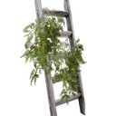 Ver imagem 6 de Kit 3 Samambaias Pendentes Premium 100cm – Planta Artificial Luxo Alta Qualidade