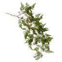 Ver imagem 4 de Kit 3 Samambaias Pendentes Premium 100cm – Planta Artificial Luxo Alta Qualidade