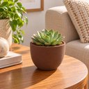 Ver imagem 2 de Vaso Pequeno para Plantas Flores 15,5cm Tramontina Laos Poli