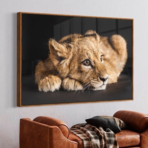 Quadro Decorativo Filhote do Predador em Moldura Caixa TaColado Moldura Trad 1cm Madeira Escura sem 