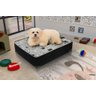 Cama Box Pet luxo - Caminha Dog Cat - 1