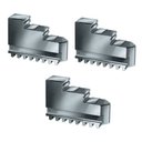 Ver imagem 1 de Jogo de Castanhas Externas para Placa de Torno 8 (pol) - 3 Castanhas