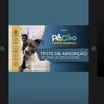 Tapete Higiênico Pé de Cão Carvão de Bambu 80x60cm 30 Unid - 8