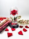 Ver imagem 3 de Luminária Cúpula a Bela e a Fera a Rosa Encantada Presente para Namorada Amor Lindo Preto