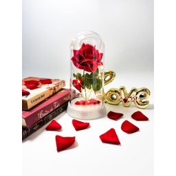 Luminária Cúpula A Bela E A Fera A Rosa Encantada Presente para namorada Amor Lindo Preto - 2