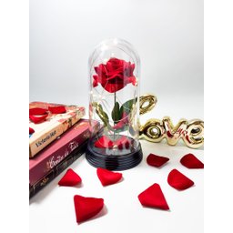 Luminária Cúpula A Bela E A Fera A Rosa Encantada Presente para namorada Amor Lindo Preto - 3