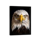 Ver imagem 2 de Quadro Águia de Cabeça Branca -- Br Artes