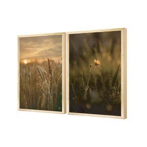 Dupla Quadros decorativos Campo Flor Trigo Paisagem Quarto Sala Corredor