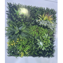 Ver imagem 1 de Paineil Planta Jardim V. Artificial 100cm X 100cm - G718029