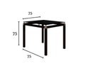 Ver imagem 3 de Conjunto Mesa de Jantar Tubular Malva Tampo de Vidro Quadrado 75cm com 4 Cadeiras 151 Sf Preto/Cedro