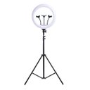 Ver imagem 3 de Ring Light 48cm 18 Polegadas Led 45w Suporte Celular Iluminador Profissional 3 Cores Tripe 2 Mts