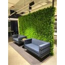 Ver imagem 1 de Jardim Vertical Amazônia Placa 0,25x0,25 Revestimento Artificial Casa Sala Moldura Verde Resistente