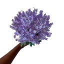 Ver imagem 4 de Kit 18 Arranjos de Lavanda Branca Artificial – Sofisticação e Estilo Duradouro